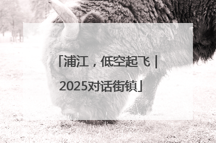 浦江，低空起飞｜2025对话街镇