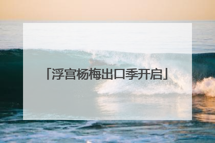 浮宫杨梅出口季开启