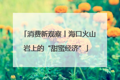消费新观察丨海口火山岩上的“甜蜜经济”