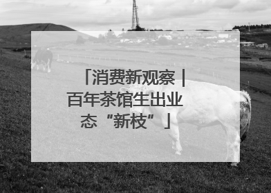 消费新观察｜百年茶馆生出业态“新枝”