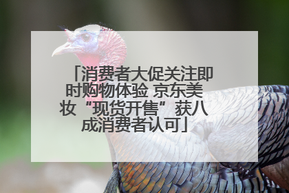 消费者大促关注即时购物体验 京东美妆“现货开售”获八成消费者认可