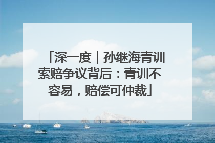 深一度｜孙继海青训索赔争议背后：青训不容易，赔偿可仲裁