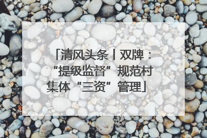 清风头条丨双牌：“提级监督”规范村集体“三资”管理
