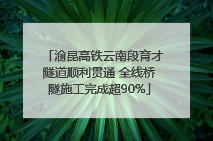 渝昆高铁云南段育才隧道顺利贯通 全线桥隧施工完成超90%