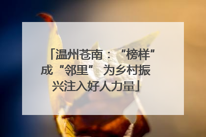 温州苍南：“榜样”成“邻里” 为乡村振兴注入好人力量