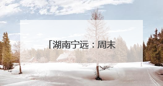 湖南宁远：周末政务“不打烊” 便民服务暖人心