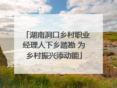 湖南洞口乡村职业经理人下乡踏勘 为乡村振兴添动能