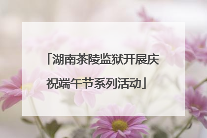 湖南茶陵监狱开展庆祝端午节系列活动