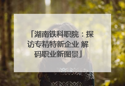 湖南铁科职院：探访专精特新企业 解码职业新图景