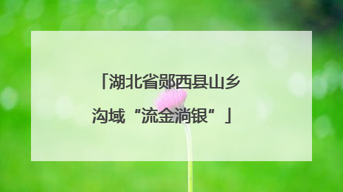 湖北省郧西县山乡沟域“流金淌银”