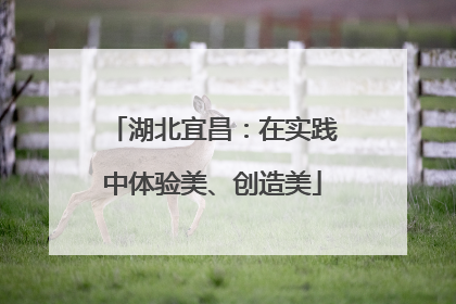 湖北宜昌：在实践中体验美、创造美
