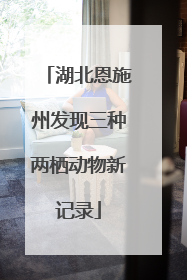 湖北恩施州发现三种两栖动物新记录