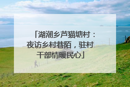 湖潮乡芦猫塘村：夜访乡村巷陌，驻村干部情暖民心