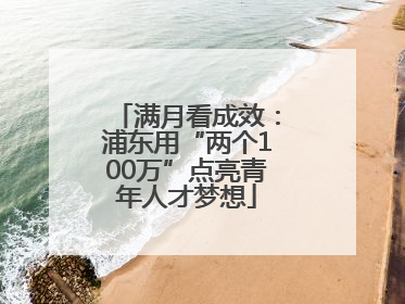 满月看成效：浦东用“两个100万”点亮青年人才梦想