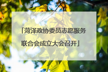 菏泽政协委员志愿服务联合会成立大会召开