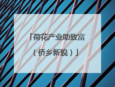 荷花产业助致富（侨乡新貌）