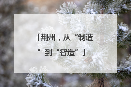 荆州，从“制造”到“智造”