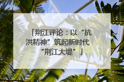 荆江评论：以“抗洪精神”筑起新时代“荆江大堤”