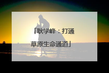 耿学峰：打通草原生命通道