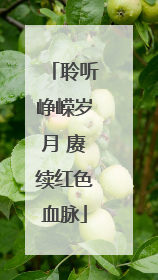 聆听峥嵘岁月 赓续红色血脉