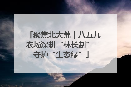 聚焦北大荒｜八五九农场深耕“林长制” 守护“生态绿”