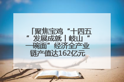聚焦宝鸡“十四五”发展成就丨岐山“一碗面”经济全产业链产值达162亿元 入选全国典型县
