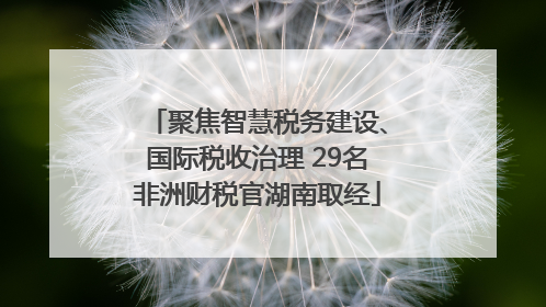 聚焦智慧税务建设、国际税收治理 29名非洲财税官湖南取经