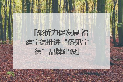 聚侨力促发展 福建宁德推进“侨见宁德”品牌建设
