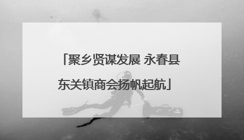 聚乡贤谋发展 永春县东关镇商会扬帆起航