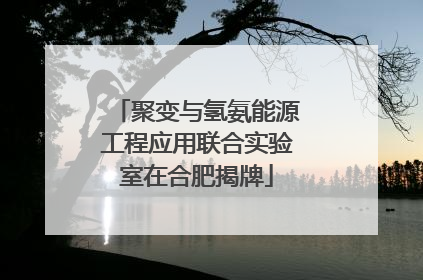 聚变与氢氨能源工程应用联合实验室在合肥揭牌