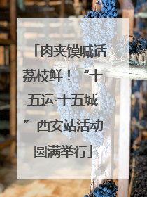 肉夹馍喊话荔枝鲜！“十五运·十五城”西安站活动圆满举行