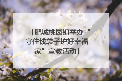 肥城桃园镇举办“守住钱袋子护好幸福家”宣教活动