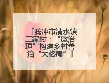 腾冲市清水镇三家村：“微治理”构建乡村善治“大格局”