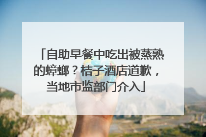 自助早餐中吃出被蒸熟的蟑螂？桔子酒店道歉，当地市监部门介入