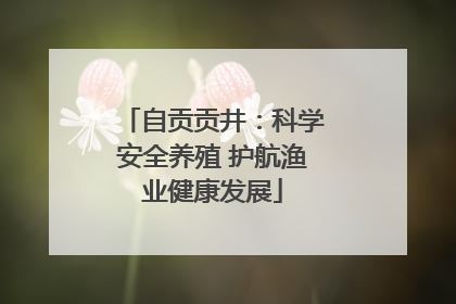 自贡贡井：科学安全养殖 护航渔业健康发展