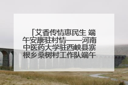 艾香传情惠民生 端午安康驻村情——河南中医药大学驻西峡县寨根乡桑树村工作队端午中医惠民记