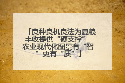 良种良机良法为夏粮丰收提供“硬支撑” 农业现代化图景有“智”更有“质”