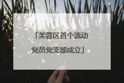 芙蓉区首个流动党员党支部成立
