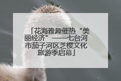 花海雅趣催热“美丽经济”——七台河市茄子河区芝樱文化旅游季启幕