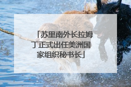 苏里南外长拉姆丁正式出任美洲国家组织秘书长