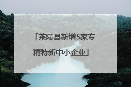 茶陵县新增5家专精特新中小企业