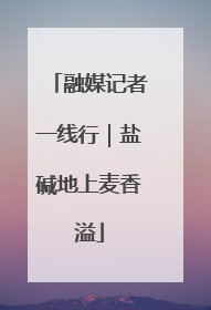融媒记者一线行｜盐碱地上麦香溢