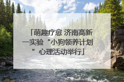 萌趣疗愈 济南高新一实验“小狗领养计划”心理活动举行