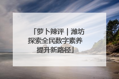 萝卜辣评｜潍坊探索全民数字素养提升新路径