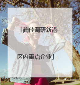 蔺佳调研新港区内重点企业