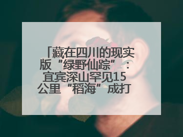 藏在四川的现实版“绿野仙踪”：宜宾深山罕见15公里“稻海”成打卡新地标