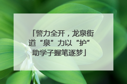 警力全开，龙泉街道“泉”力以“护”助学子握笔逐梦