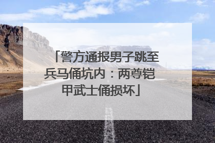 警方通报男子跳至兵马俑坑内：两尊铠甲武士俑损坏