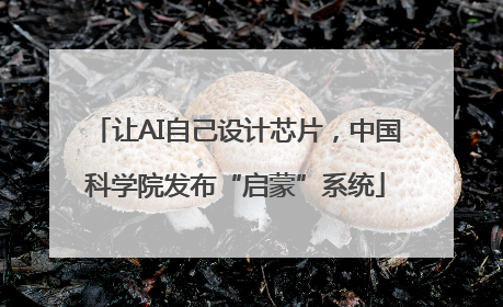 让AI自己设计芯片，中国科学院发布“启蒙”系统