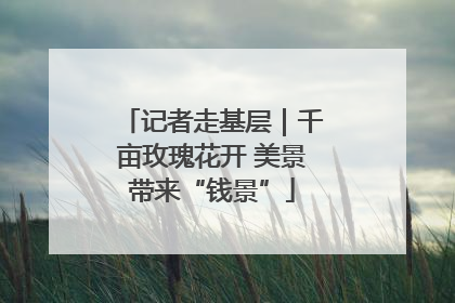 记者走基层｜千亩玫瑰花开 美景带来“钱景”